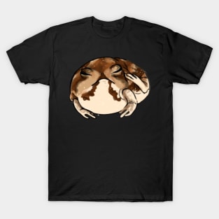 desert rain frog T-Shirt